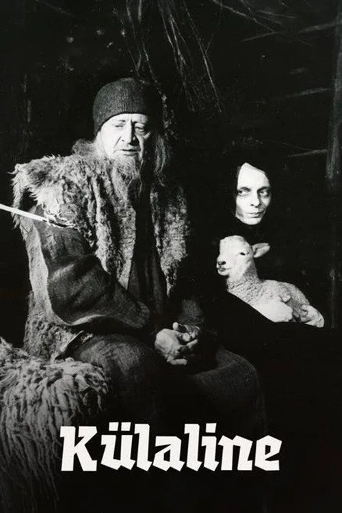 The Visitor