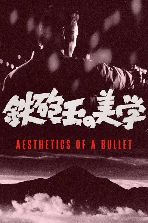 Aesthetics of a Bullet
