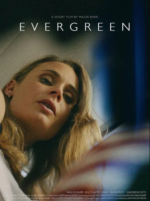 Evergreen