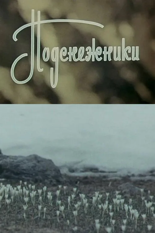 Snowdrops