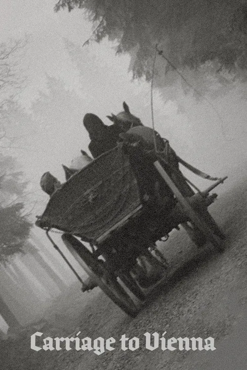Carriage to Vienna