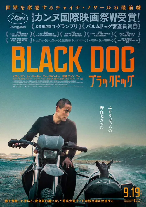 Black Dog