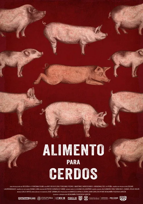 Swine Food