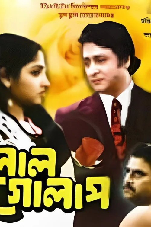 লাল গোলাপ