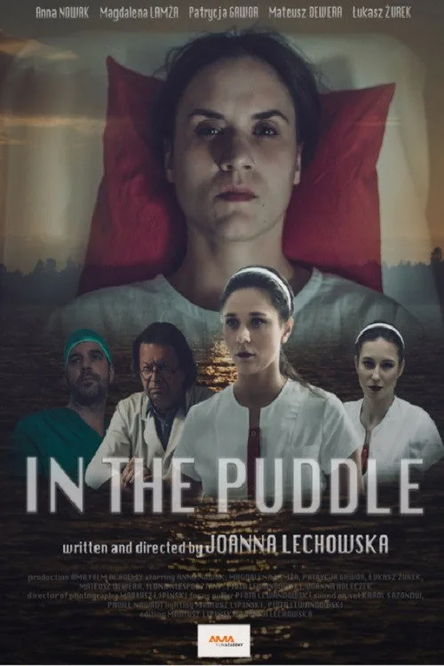In the Puddle