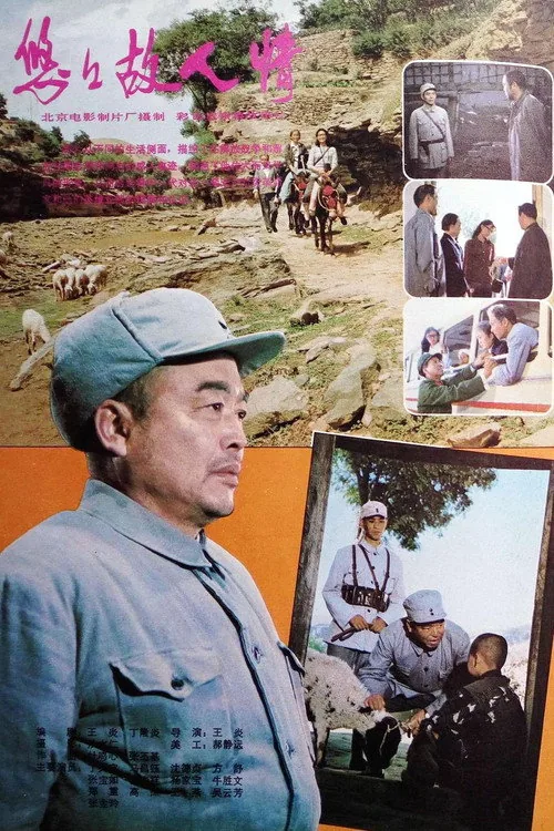 悠悠故人情
