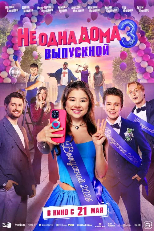 Home Not Alone 3