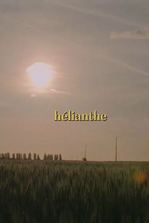 Hélianthe