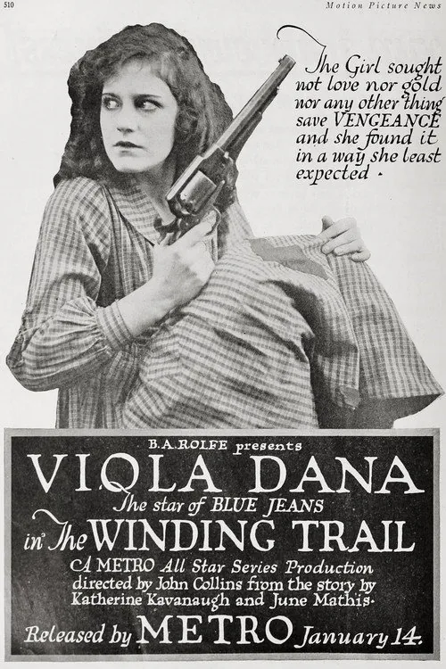 The Winding Trail