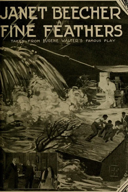 Fine Feathers