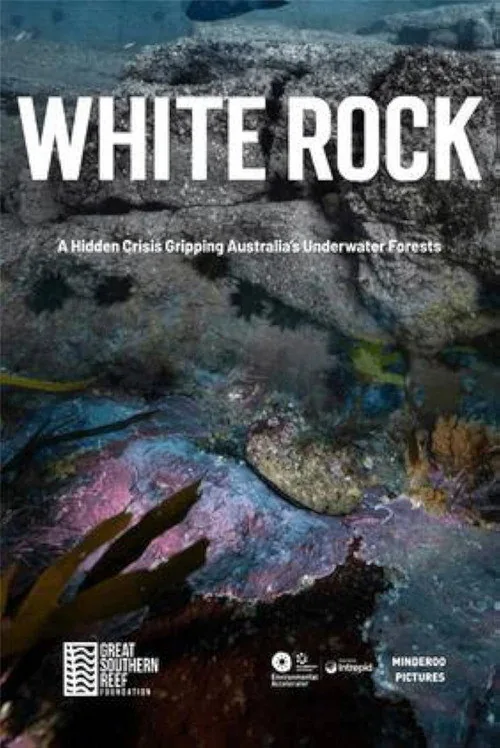 White Rock