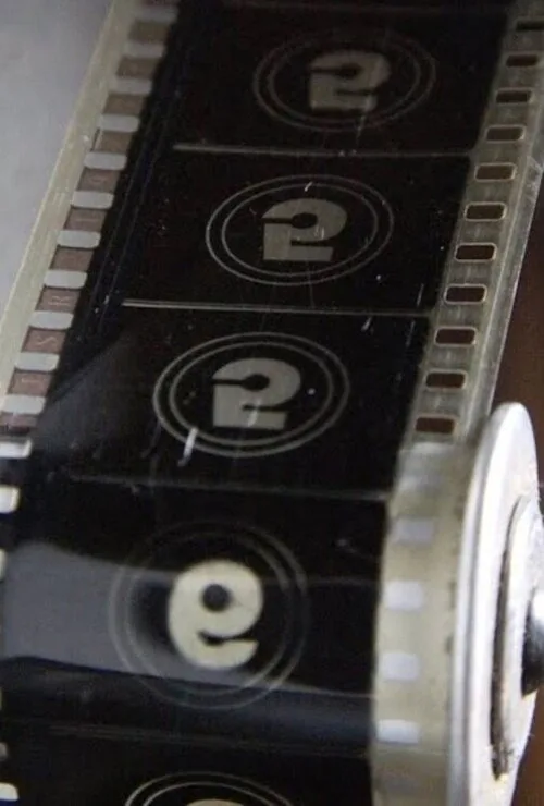 Lapidar o Bruto