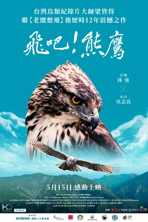 Fly! Mountain Hawk-Eagle