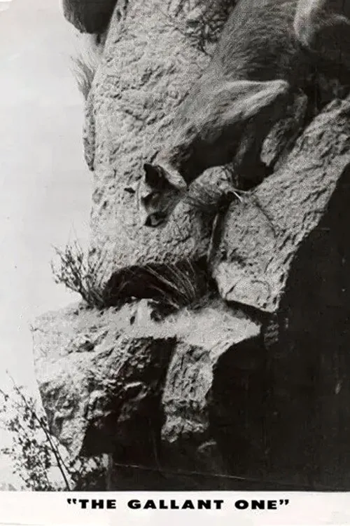 The Gallant One