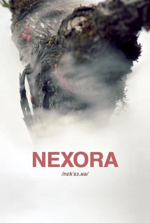Nexora