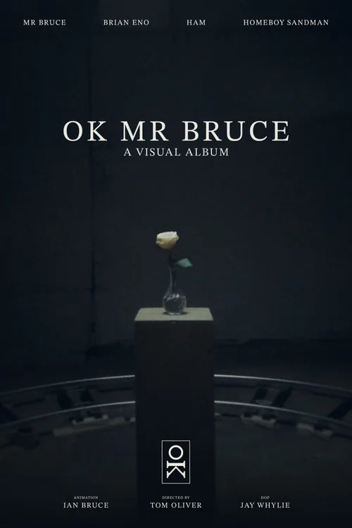 OK MR BRUCE