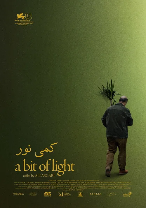 A Bit of Light