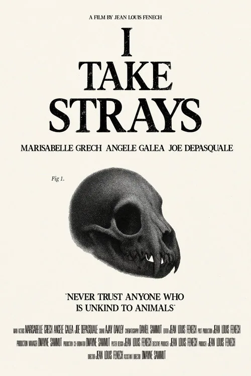 I TAKE STRAYS