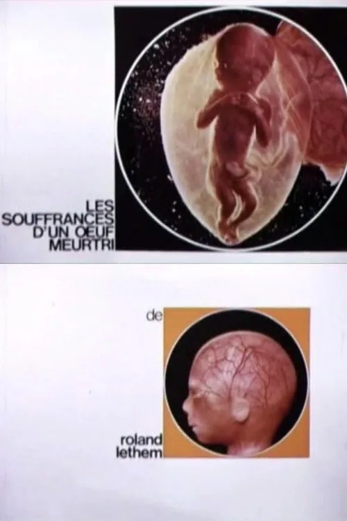 The Sufferings of a Wounded Egg