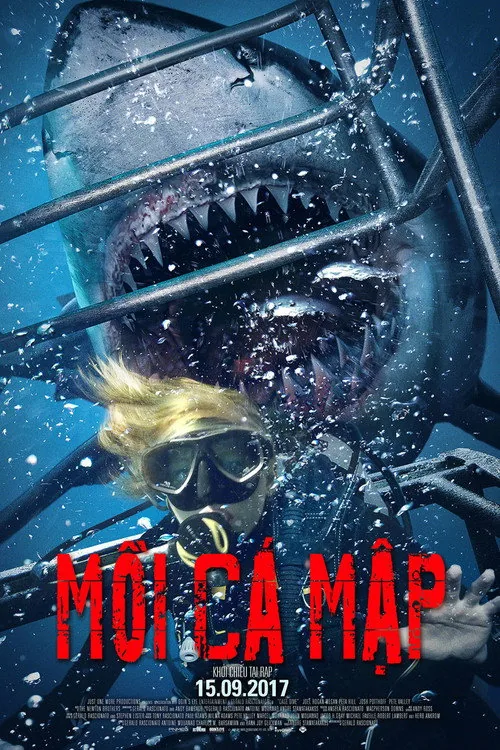 Cage Dive