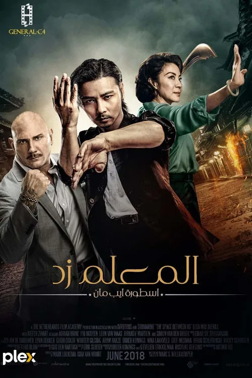 Master Z: Ip Man Legacy
