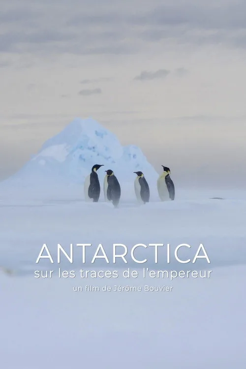 Antarctica, sur les traces de l'empereur