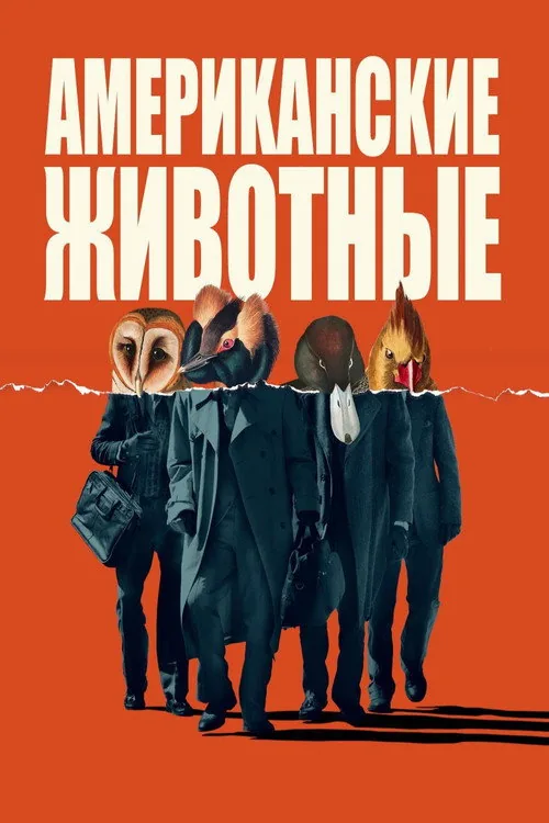 American Animals