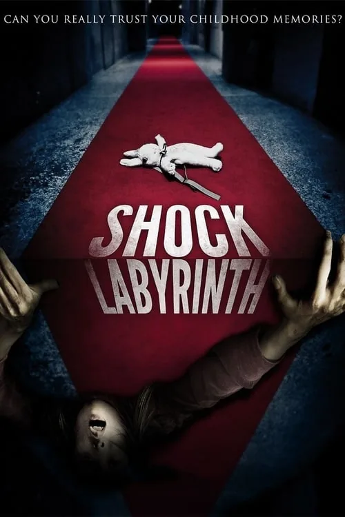 The Shock Labyrinth