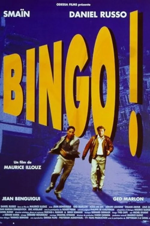 Bingo !