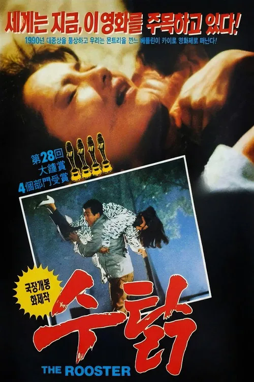 수탉