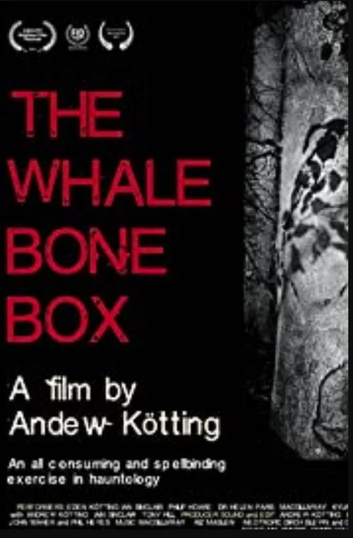 The Whalebone Box