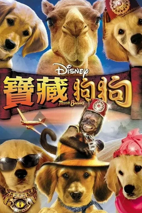 Treasure Buddies