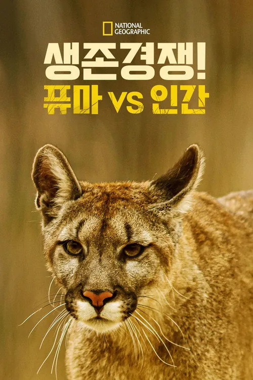 Man Vs. Puma