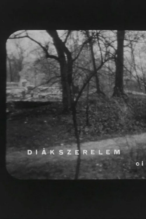 Diákszerelem