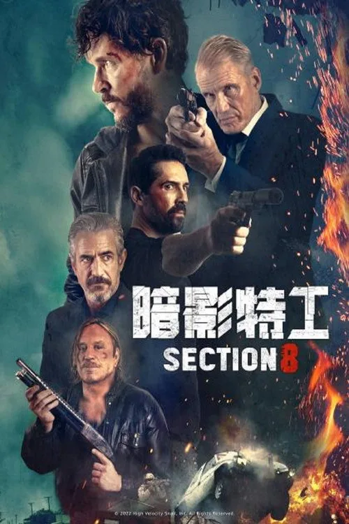 Section 8